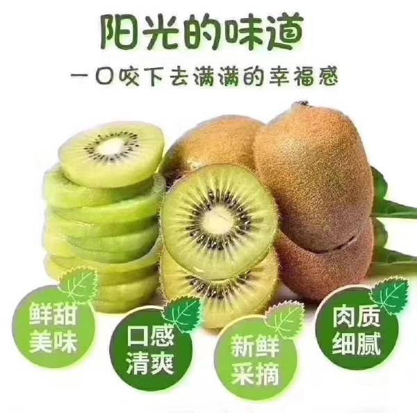 眉县猕猴桃 来自陕西的徐香密码