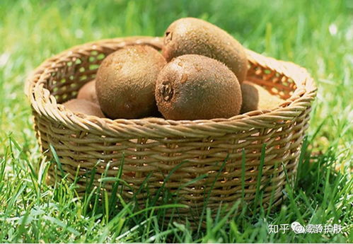 ukiwi奇异果面膜,开启肌肤 轻食代