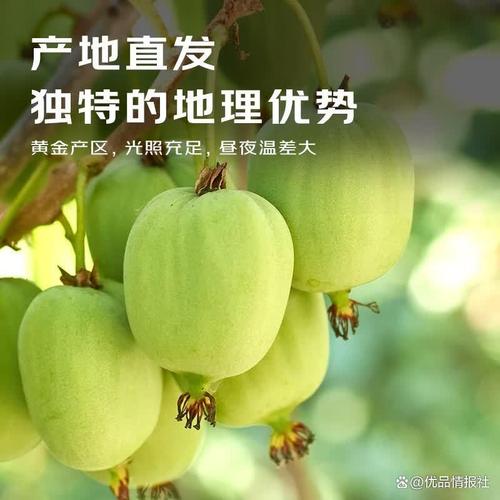 猕猴桃什么品牌质量好?10款优质推荐值得尝试