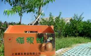 板扎果业猕猴桃(奇异果)8斤装【大型果】_农副产品_世界工厂网中国产品信息库